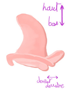 dessin de clitoris de profil