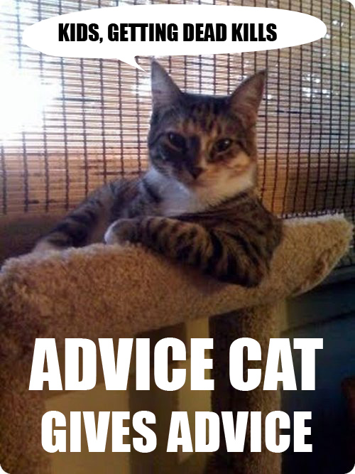 05mai 2011 - advice cat, being dead kills