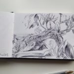 Dossier de partage des sources d'illustrations